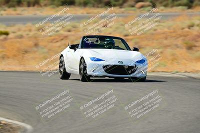 media/Sep-08-2024-VIP Trackdays (Sun) [[e20bd699b9]]/A Group/Session 2-Turns 4 and 6/